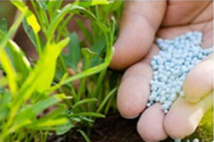 1772430315810116.jpg 5-6.jpg