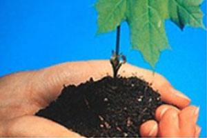 1772430319555712.jpg 5-7.jpg